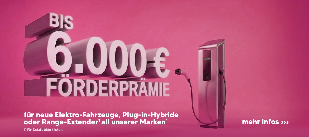 Elektro Förderprämie