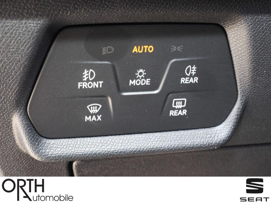 Formentor 2.0 TDI 4Drive  W-Paket ACC DynLi AUT