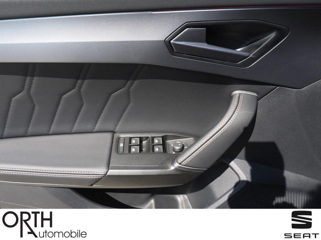 Formentor 2.0 TDI 4Drive  W-Paket ACC DynLi AUT
