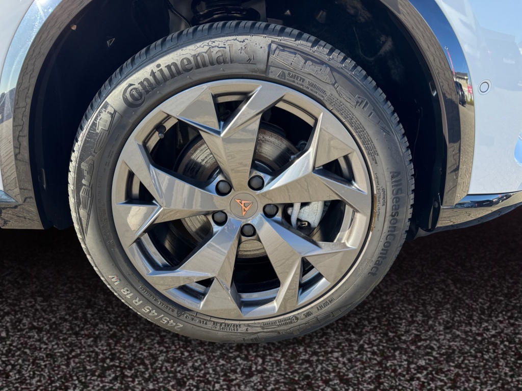 Formentor 2.0 TDI EDGE+SHZ+NAVI+ACC+PDC+KAMERA