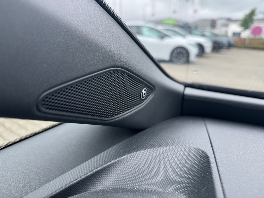 Born 150 (58kWh) NAVI+SHZ+LED+RFK+BEATS+KESSY LM