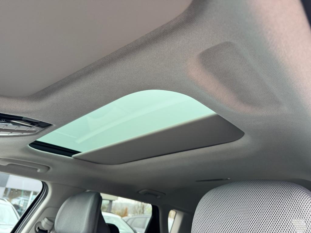 EV4 Elektro 81,4 kWh 150 kW Earth 2xKlima 360 LM