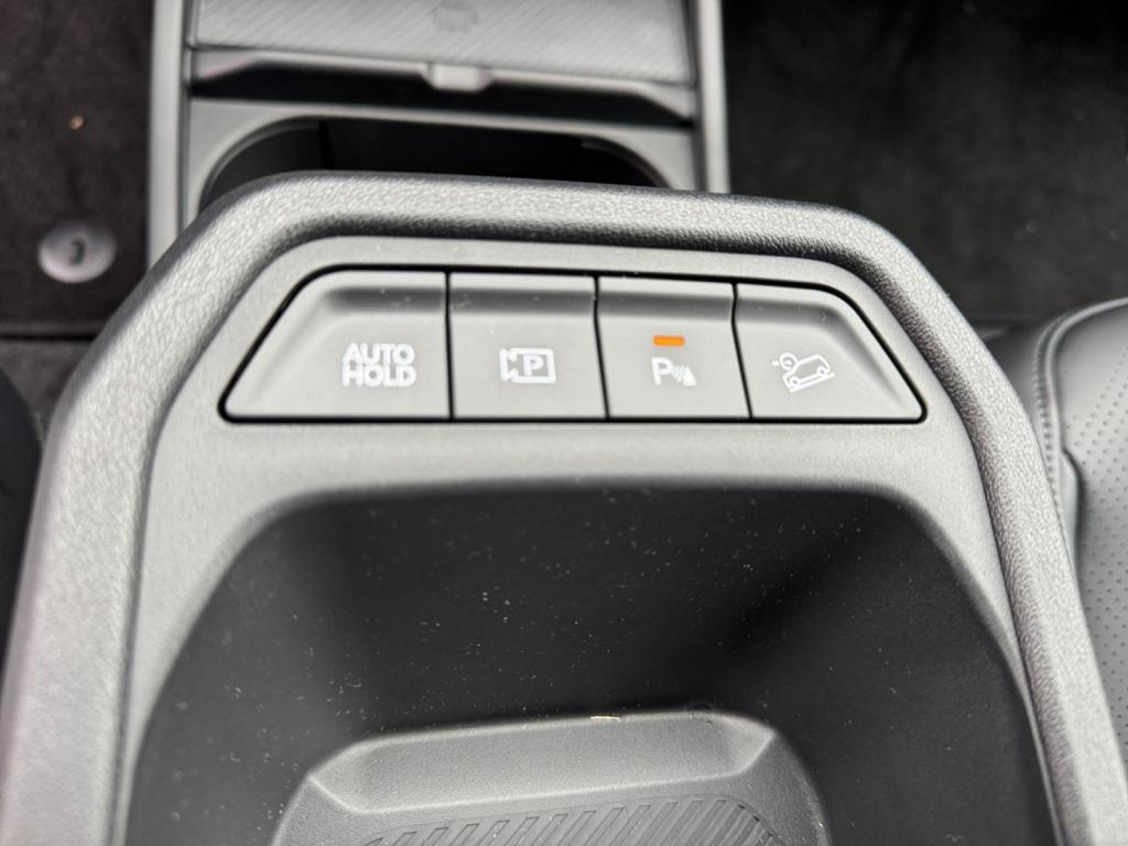 EV4 Elektro 81,4 kWh 150 kW Earth 2xKlima 360 LM