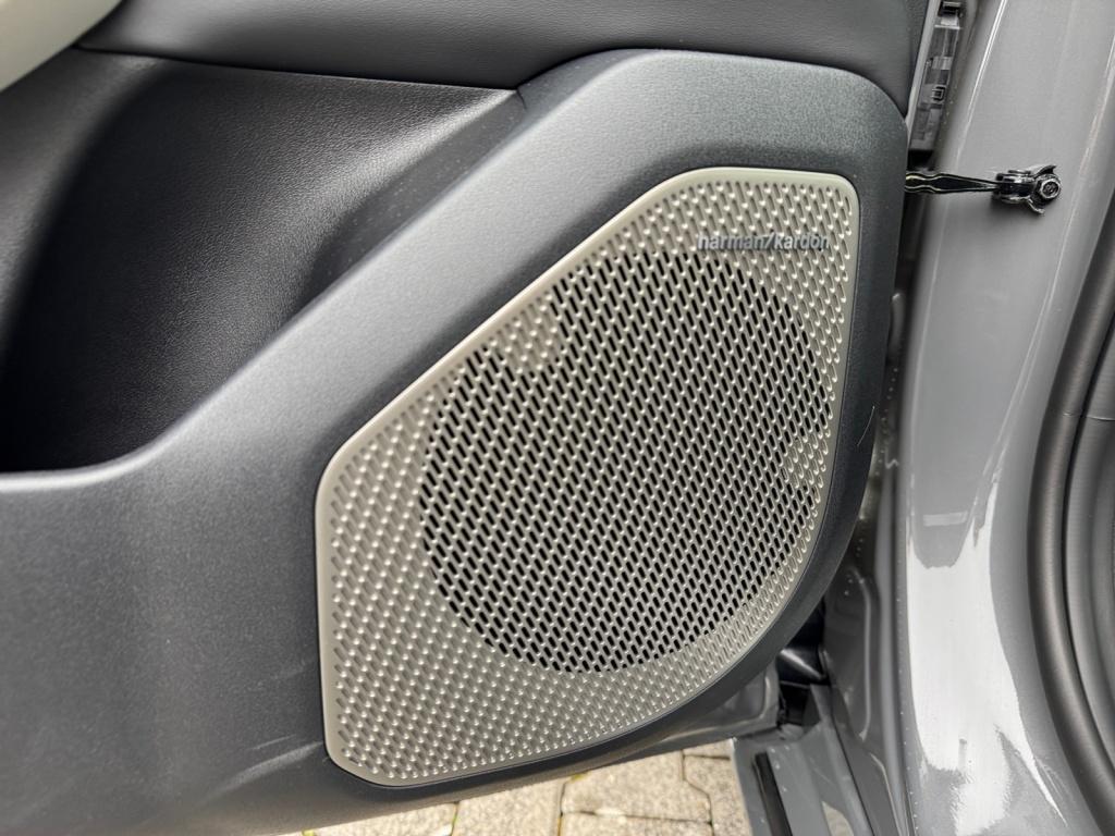 EV4 Elektro 81,4 kWh 150 kW GT-Line H/K+HUD+SHZ+LEDER