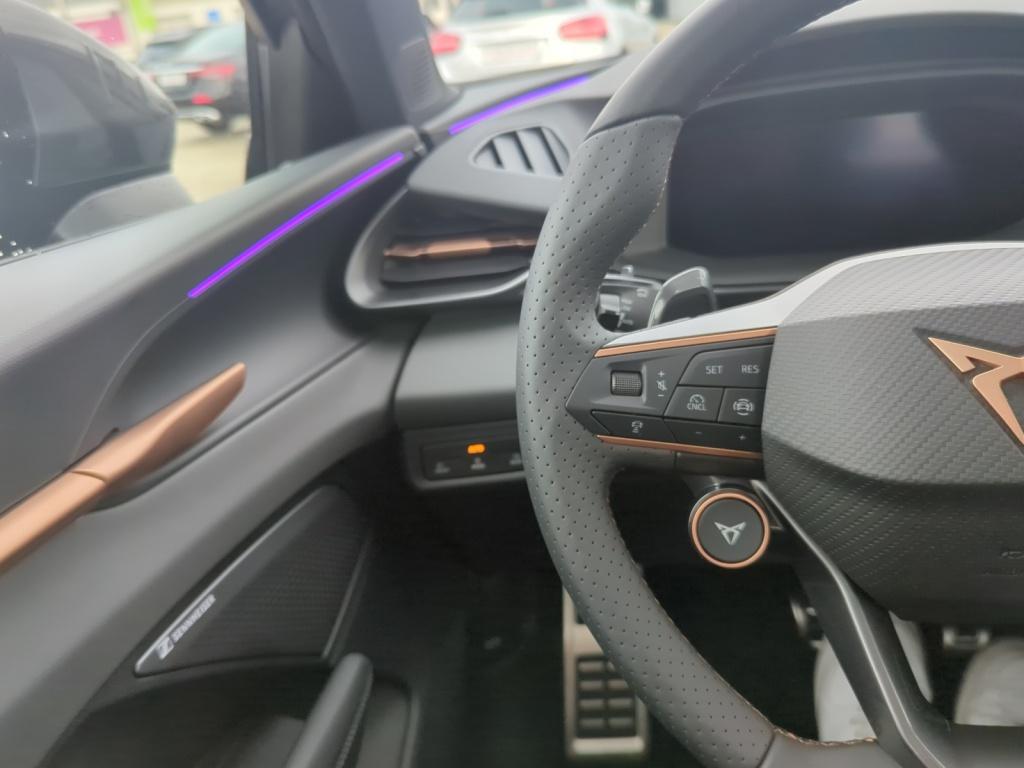 Terramar VZ 2.0TSI 265PS 4D SENNHEISER+PANO+AKEBONO