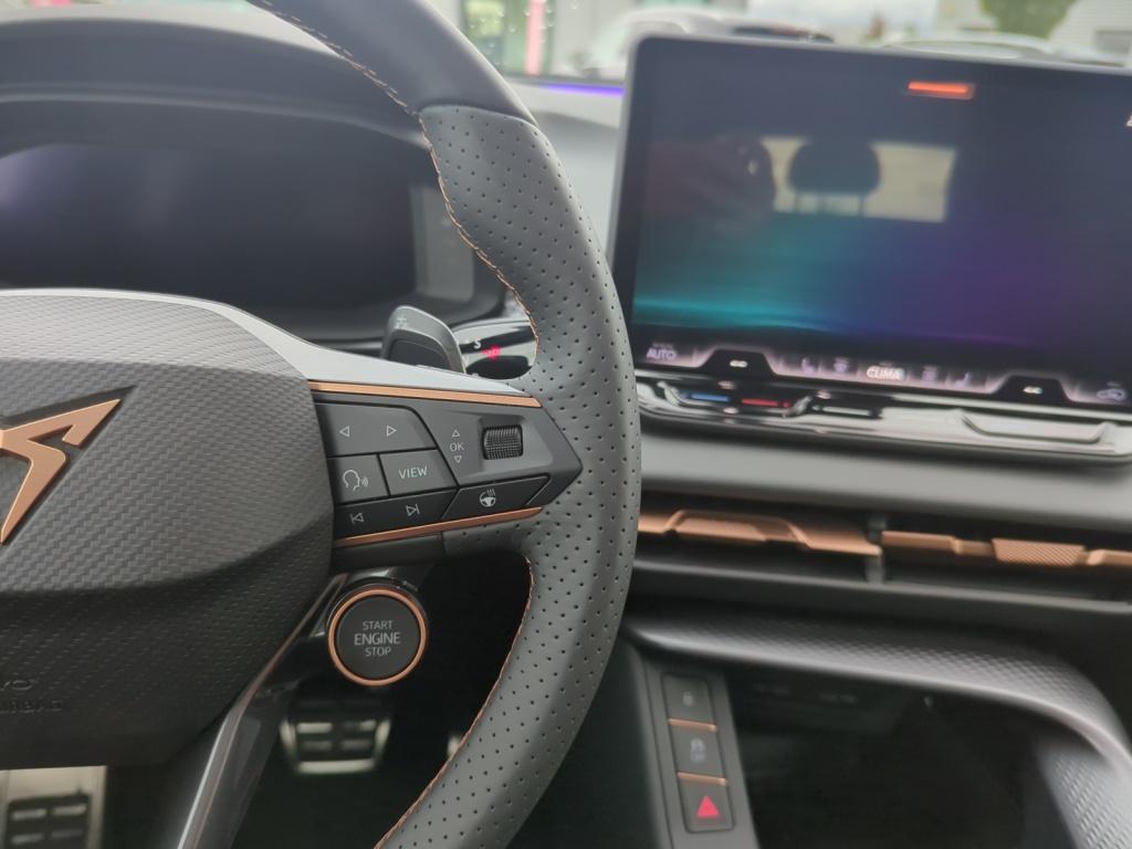 Terramar VZ 2.0TSI 265PS 4D SENNHEISER+PANO+AKEBONO