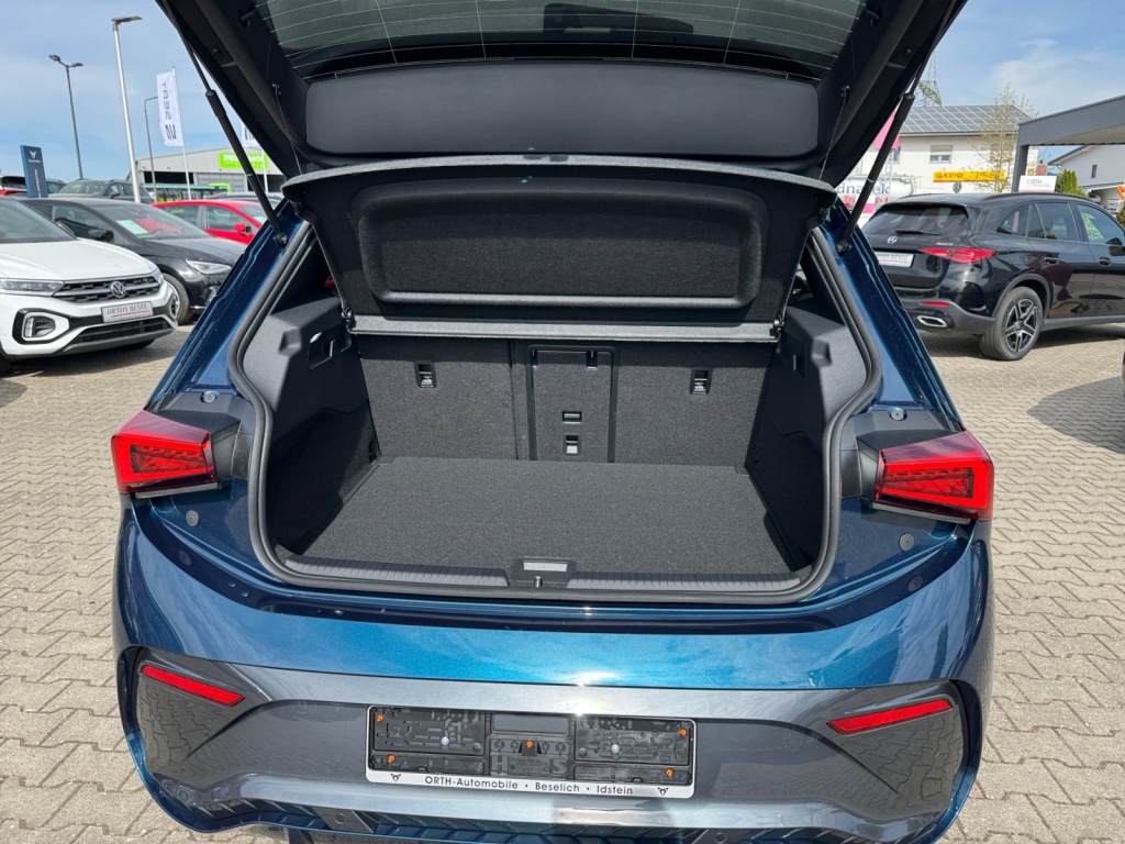 Born Edition Dynam 231PS 60kWh NAVI+SHZ+LED+PDC