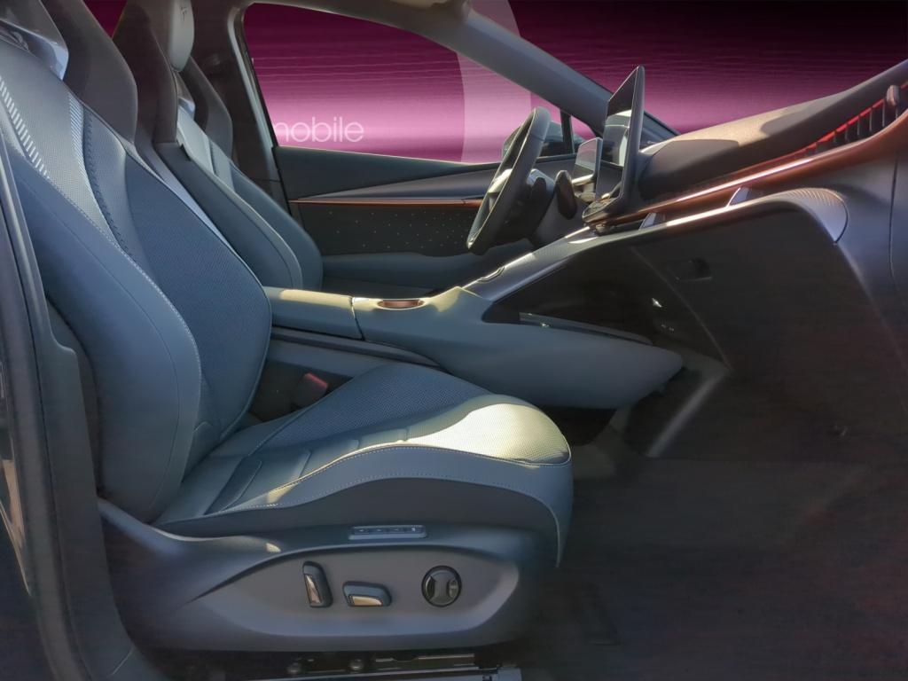 Tavascan EXTREME VZ 4Dr 340PS PANO+LED+LEDER 360