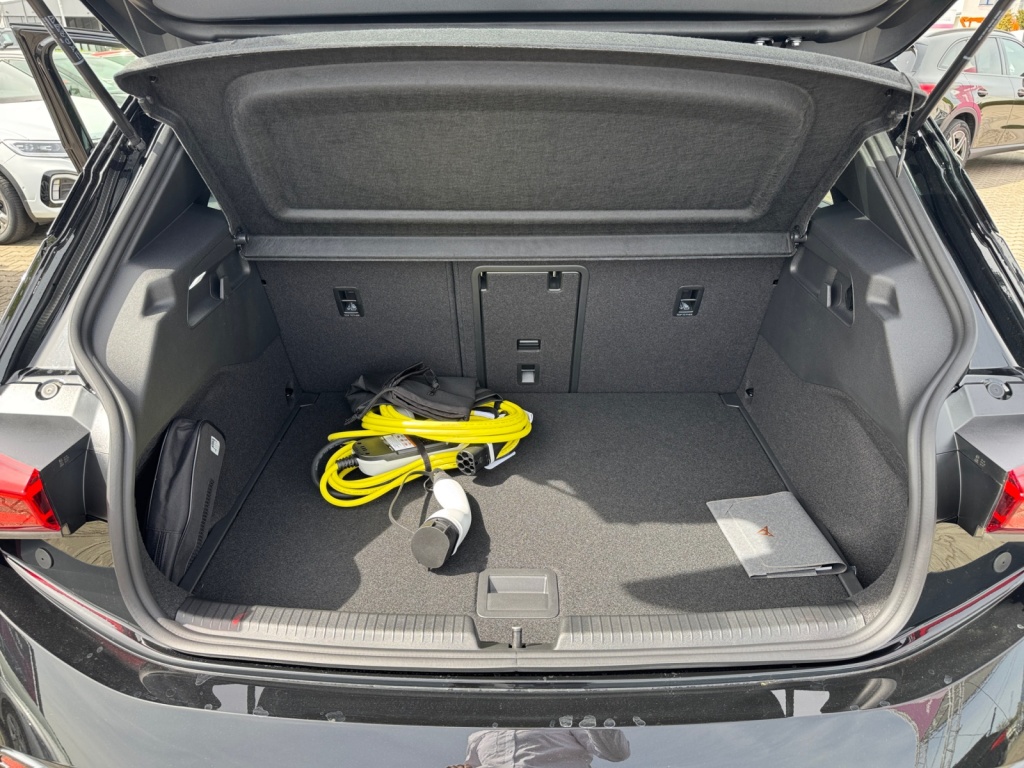 Born Edition Dynamic 231PS 79kWh SENNH+PANO+HP