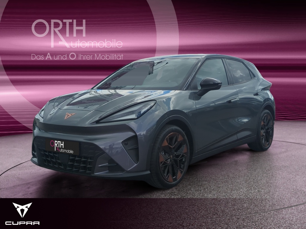 Raval Endurance Edit Dynamic PLUS 211PS 52kwH