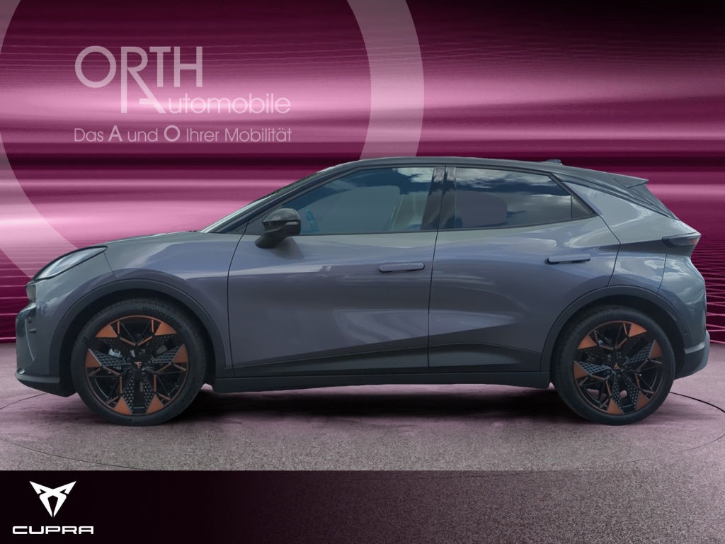 Raval Endurance Edit Dynamic PLUS 211PS 52kwH