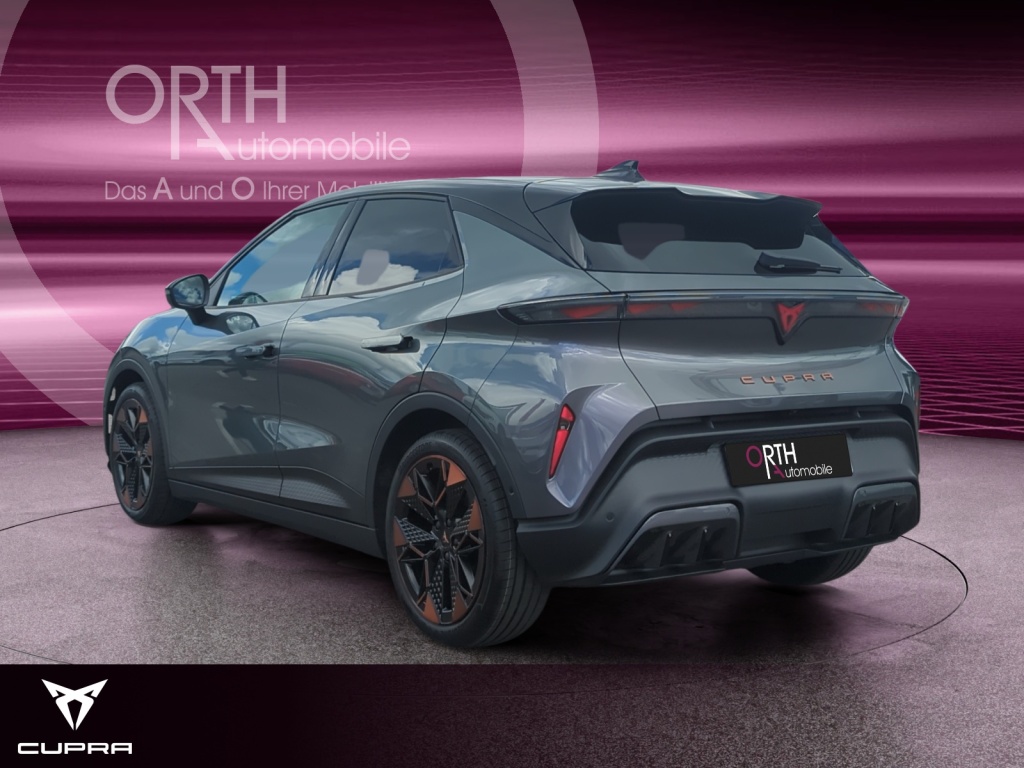 Raval Endurance Edit Dynamic PLUS 211PS 52kwH