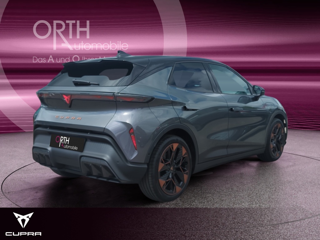 Raval Endurance Edit Dynamic PLUS 211PS 52kwH