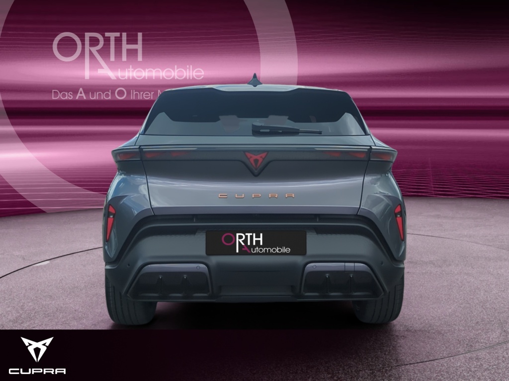 Raval Endurance Edit Dynamic PLUS 211PS 52kwH