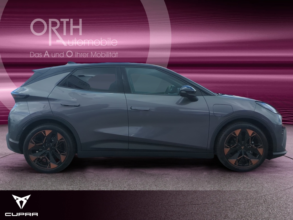 Raval Endurance Edit Dynamic PLUS 211PS 52kwH