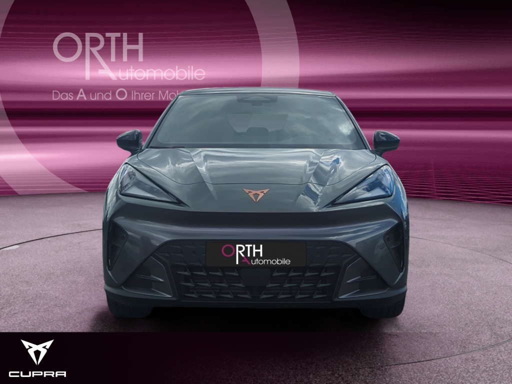 Raval Endurance Edit Dynamic PLUS 211PS 52kwH