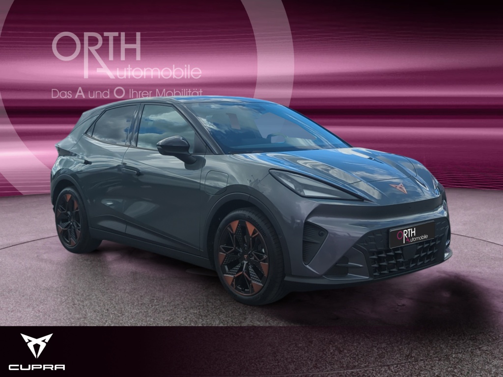 Raval Endurance Edit Dynamic PLUS 211PS 52kwH
