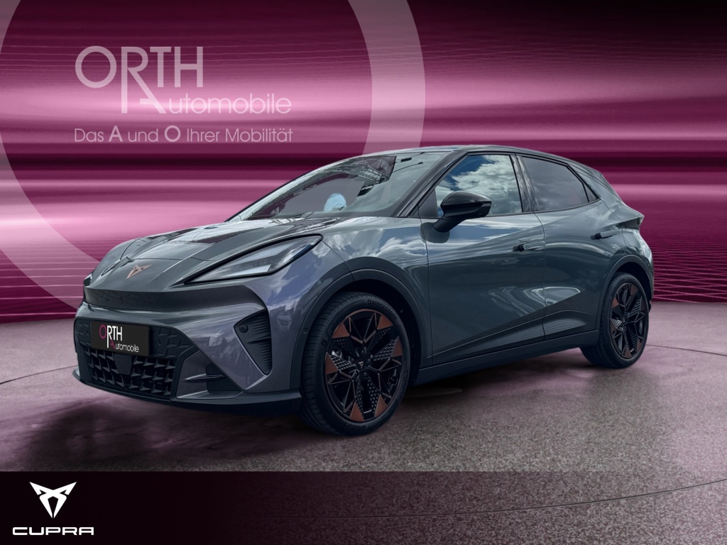 Raval Endurance Edit Dynamic PLUS 211PS 52kwH
