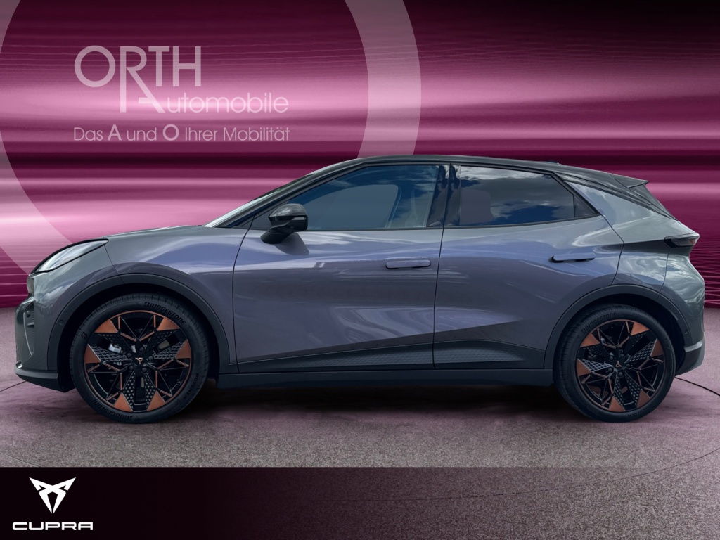Raval Endurance Edit Dynamic PLUS 211PS 52kwH