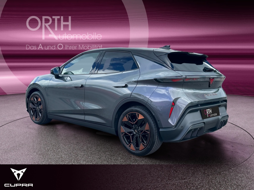 Raval Endurance Edit Dynamic PLUS 211PS 52kwH