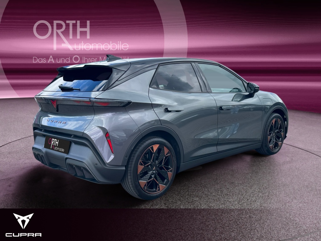 Raval Endurance Edit Dynamic PLUS 211PS 52kwH