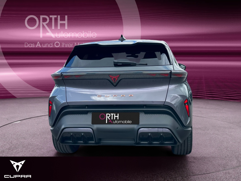 Raval Endurance Edit Dynamic PLUS 211PS 52kwH