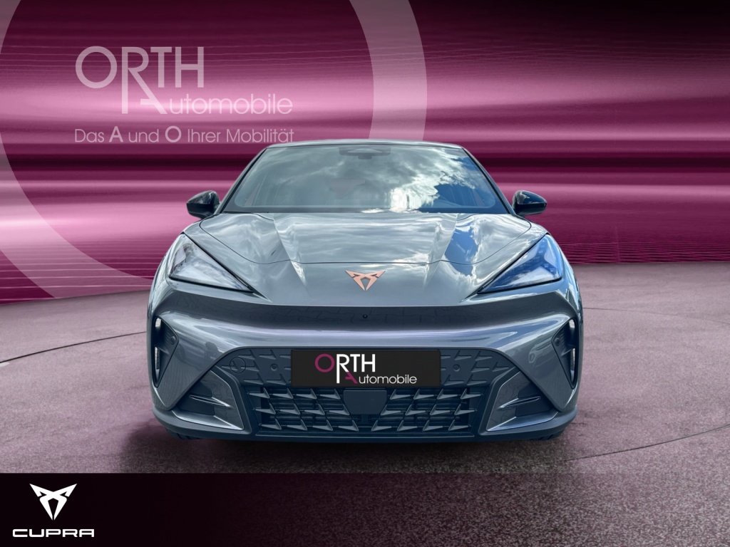 Raval Endurance Edit Dynamic PLUS 211PS 52kwH