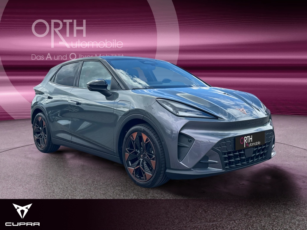 Raval Endurance Edit Dynamic PLUS 211PS 52kwH