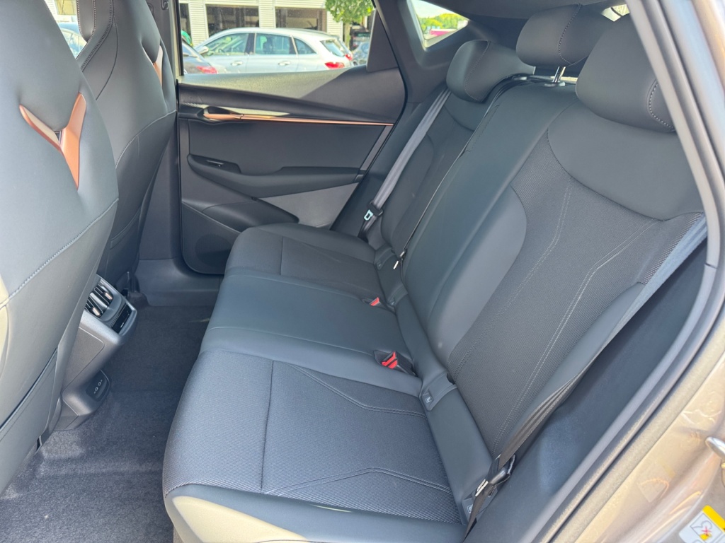 Tavascan Endurance 77 kWh 286PS+ACC+KEYLESS+RFK