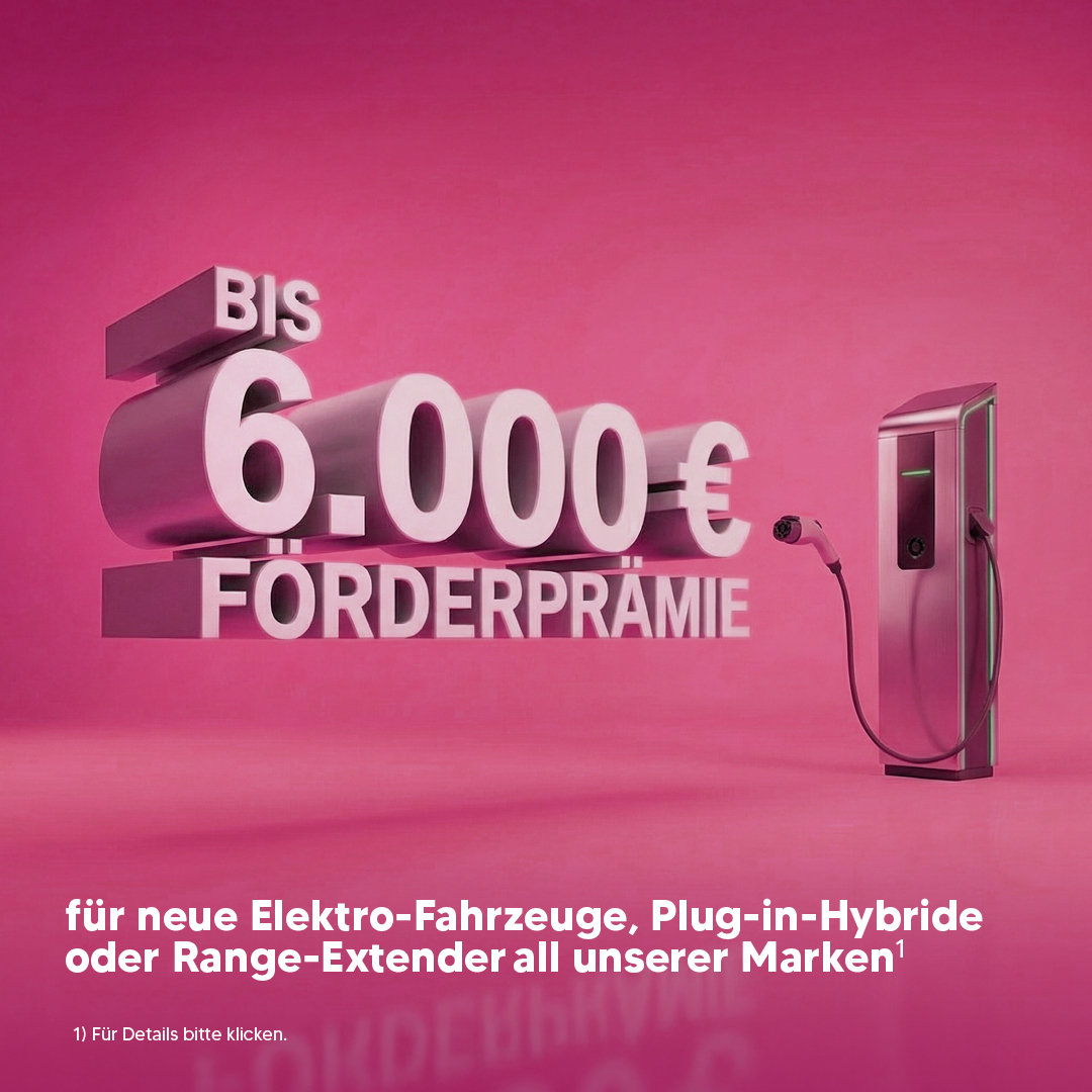 BEITRAG Förderprämie E-Fahrzeuge