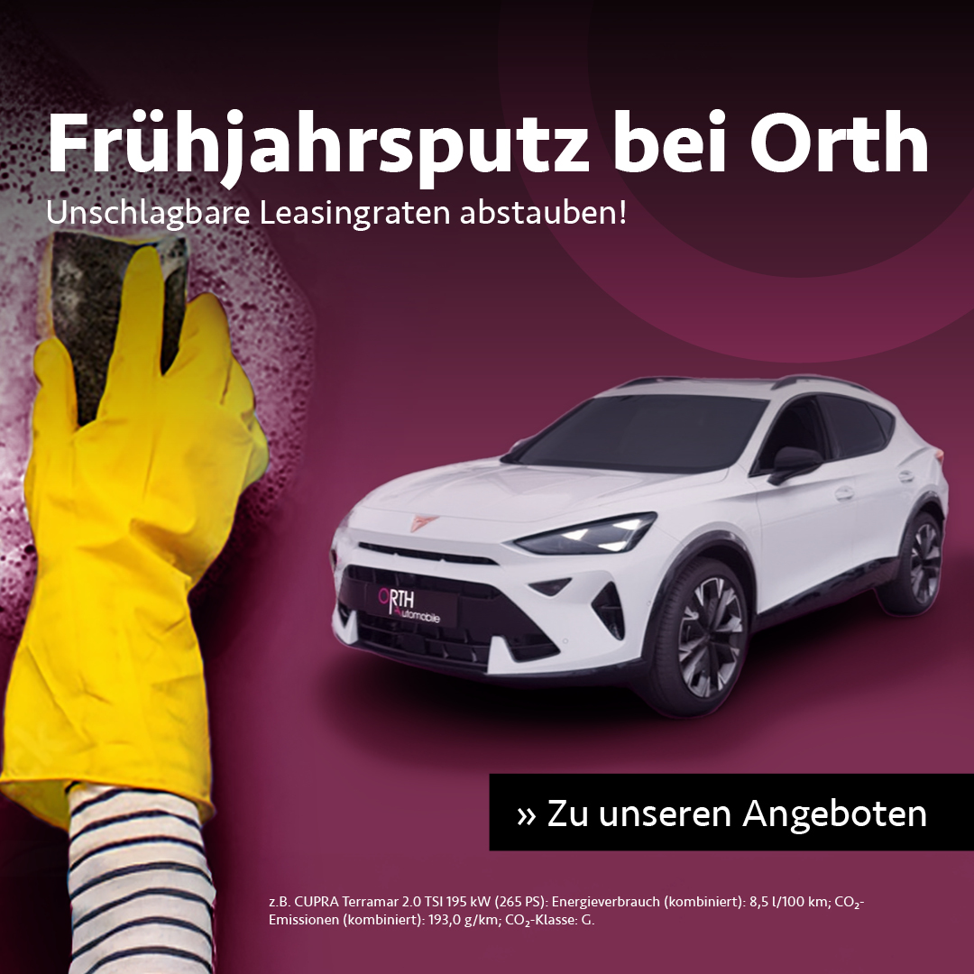 BEITRAGSBILD-CUPRA-FRUEHJAHRSPUTZAKTION-Q1